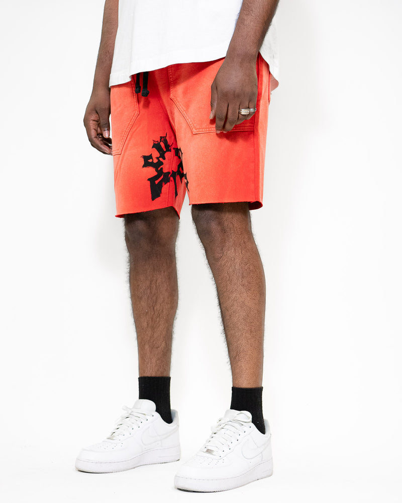 SUMMER SHORTS - PALACE