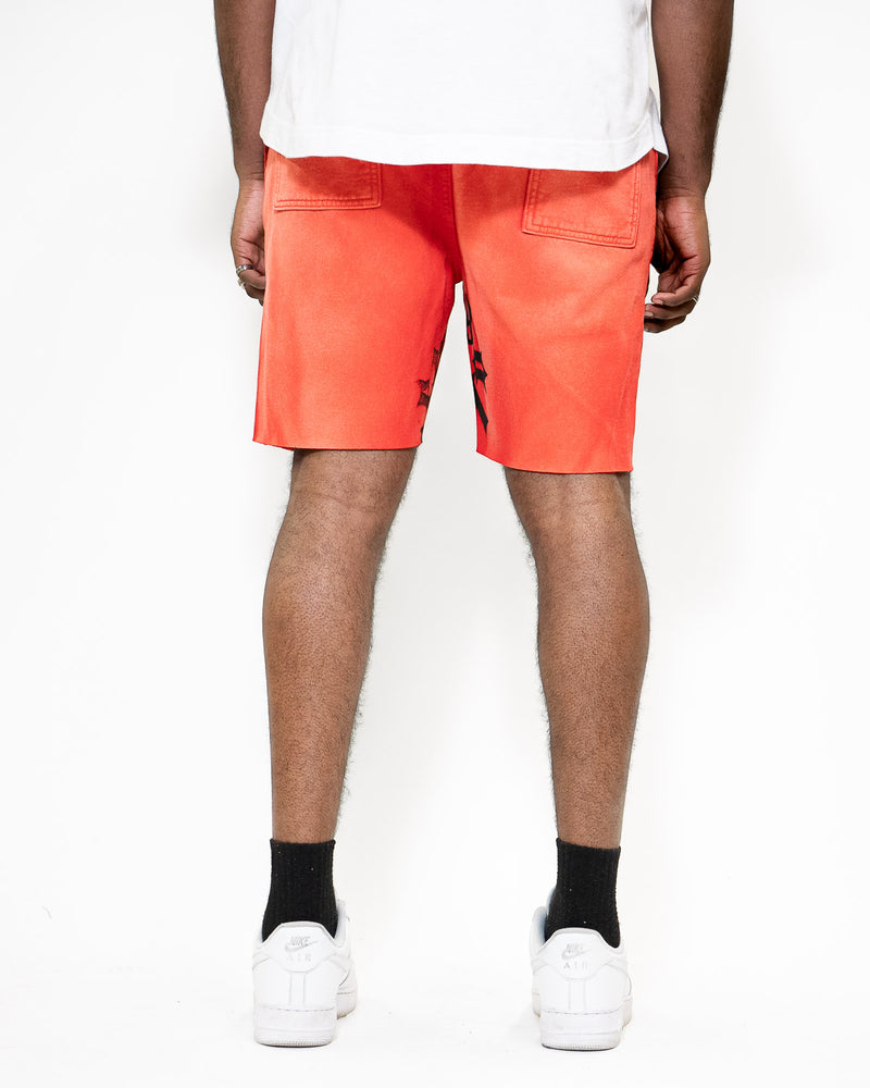 SUMMER SHORTS - PALACE