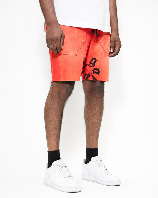 SUMMER SHORTS - PALACE